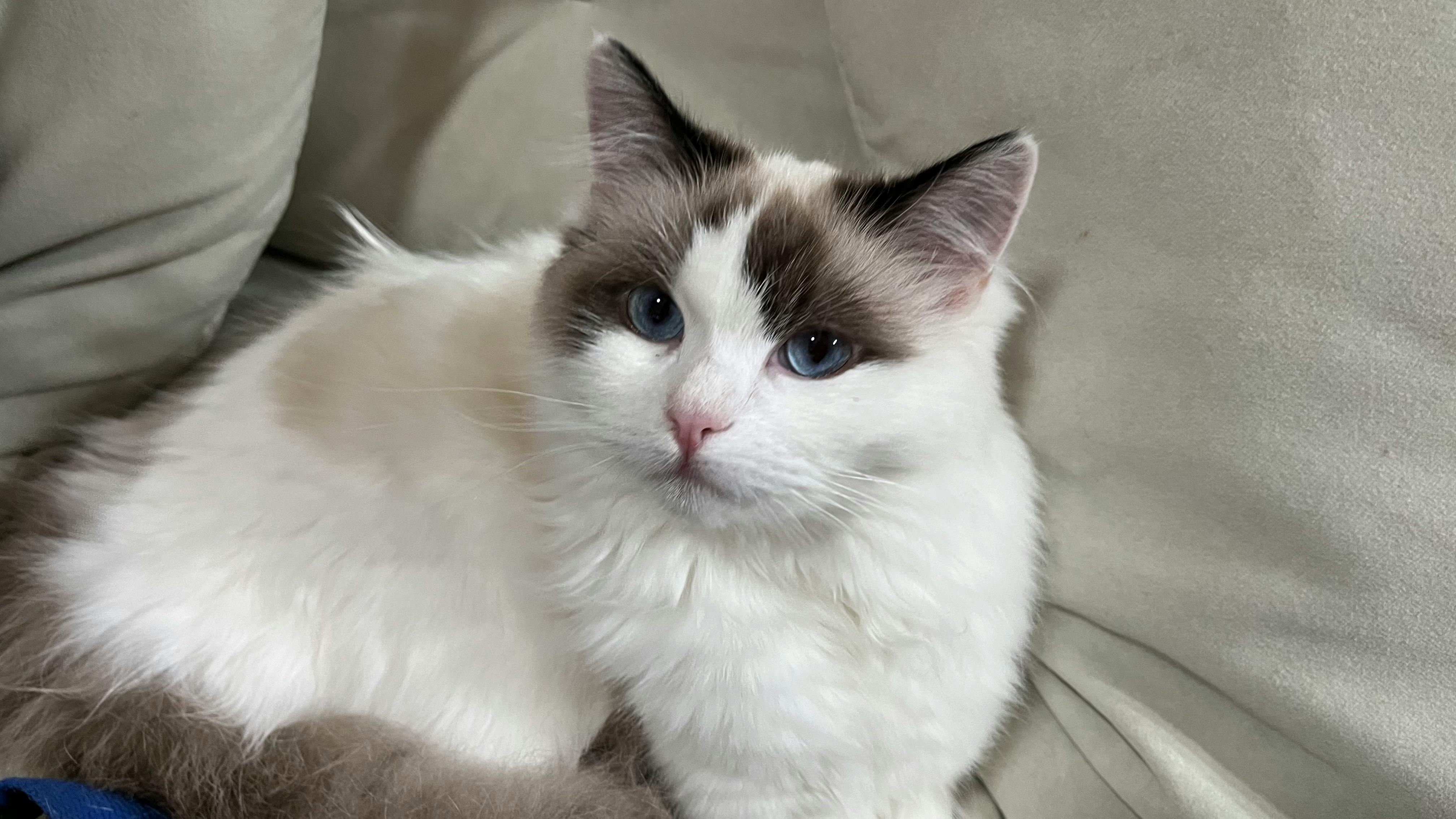 在臨床實習中求生